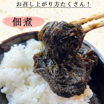 【数量限定】 生海苔 (冷凍) 500g×4袋(2kg) 岬だより