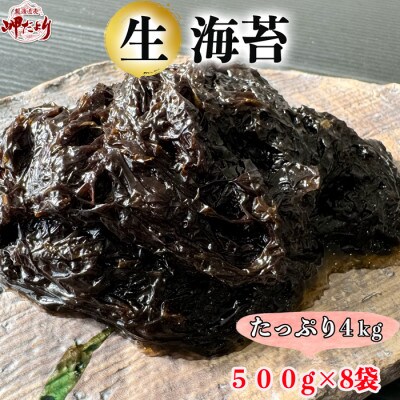 【数量限定】 生海苔 (冷凍) 500g×8袋(4kg) 岬だより
