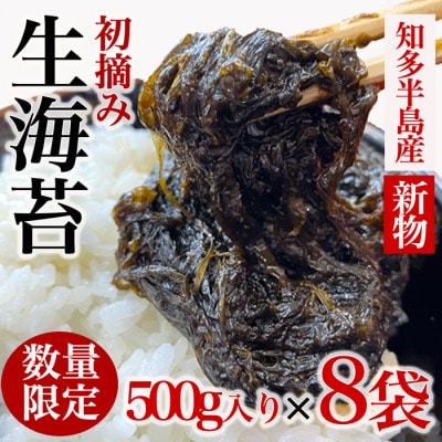 【数量限定】知多半島から直送 生海苔 (冷凍) (新物) 500g×8袋(4kg) 岬だより