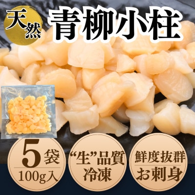 純国産【貝専門店】 天然 青柳小柱 100g×5袋 岬だより