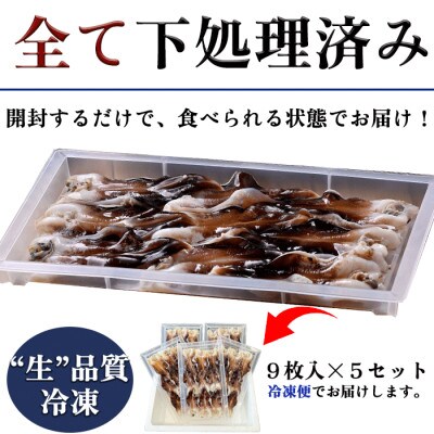 純国産【貝専門店】 肉厚 トリ貝 刺身 【大9枚入り】 5セット 岬だより
