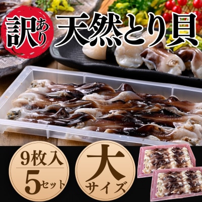 純国産【見た目訳あり】 トリ貝 刺身 (大9枚入り) 5セット 貝専門店 岬だより