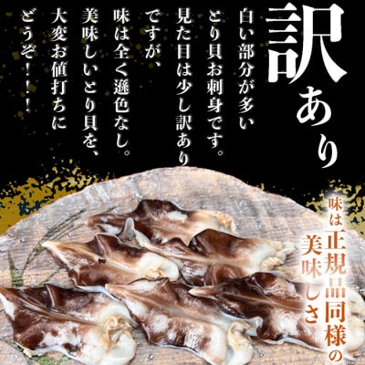 純国産【見た目訳あり】 トリ貝 刺身 (大9枚入り) 5セット 貝専門店 岬だより