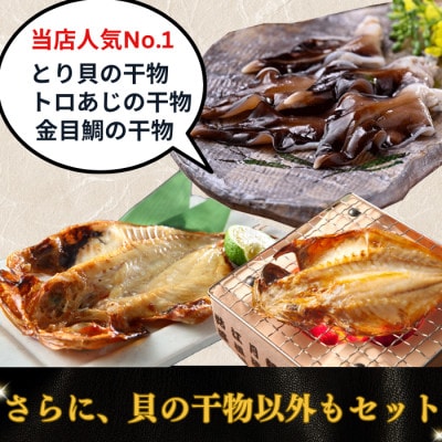 【天然貝×漁師直送】極上干物8種セット|晩酌のお供に最適!当店人気の貝の干物セット。
