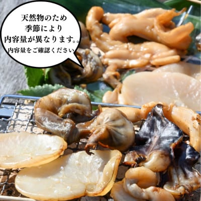 【天然貝×漁師直送】極上干物8種セット|晩酌のお供に最適!当店人気の貝の干物セット。