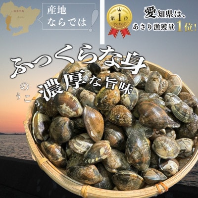 天然あさり 冷凍1.2kg(300g×4袋) 砂抜き・水洗い不要/生品質急速冷凍 愛知県産