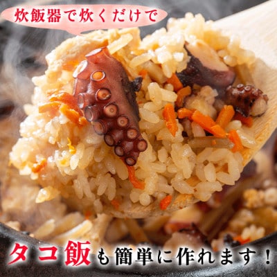 【南知多の漁師町から直送】天然真蛸の天日干し 600g 3~5袋(酒の肴・タコ飯最適)(無添加)