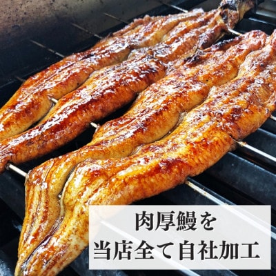 【三河一色産】秘伝のタレ付き ひつまぶし鰻(きざみ蒲焼・出汁パック付き)50g×3袋