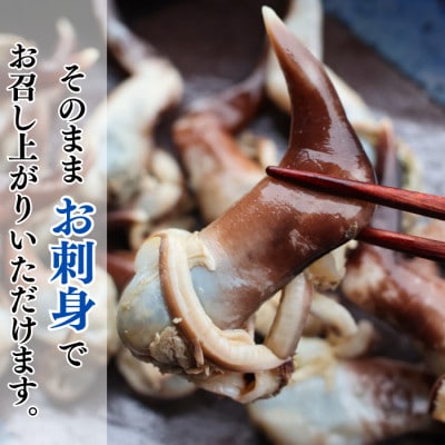 【数量限定・2027年先行受付】市場にほとんど出回らない 天然とり貝「トンボ」(内臓入り)135g