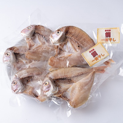 鯛の一夜干し