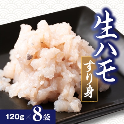 生ハモすり身真空包装　120g×8袋入り