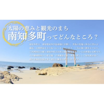 鯛 姿煮 4尾セット 南知多町産