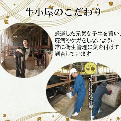 ほろ酔い知多牛 しぐれ煮 80g×3パック ご飯のお供 おつまみに