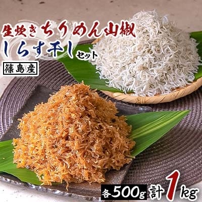 篠島産 生炊きちりめん山椒 しらす干しセット 計1kg お礼品詳細 ふるさと納税なら さとふる
