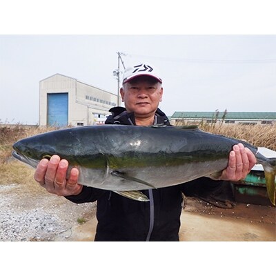 【師崎漁協】釣り船　大物乗合1人利用券