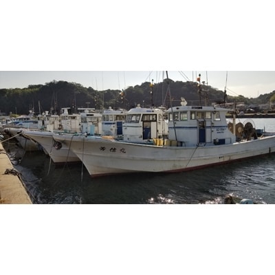 【大井漁協】釣り船　中物乗合1名利用券
