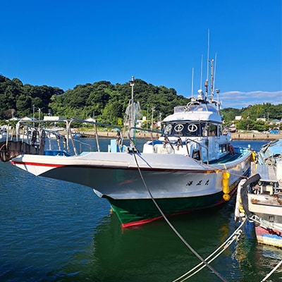 【大井漁協】釣り船　ルアー乗合1名利用券