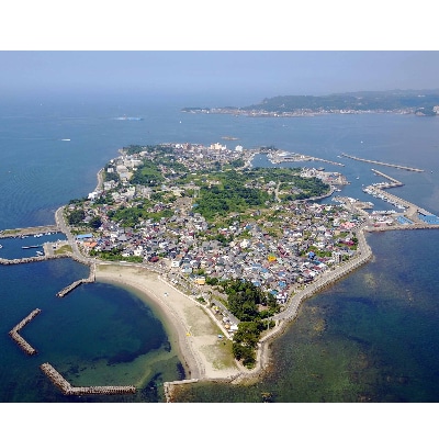 【日間賀島】味付け海苔　島のり 12本入り×1箱