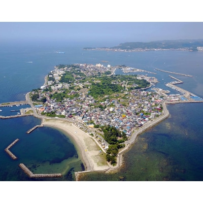 【日間賀島】味付のり 島のり 12本入り×2箱