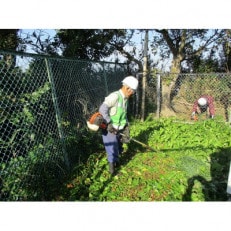 草刈り作業 12,000円引きクーポン