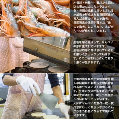 鈴円本舗のご家庭用 島風 いか 110g×3袋 堅焼せんべい 特製甘辛タレ