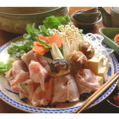 篠島産【天然とらふぐ】お刺し身・お鍋用