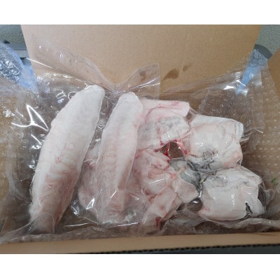 篠島産【天然とらふぐ】お刺し身・お鍋用