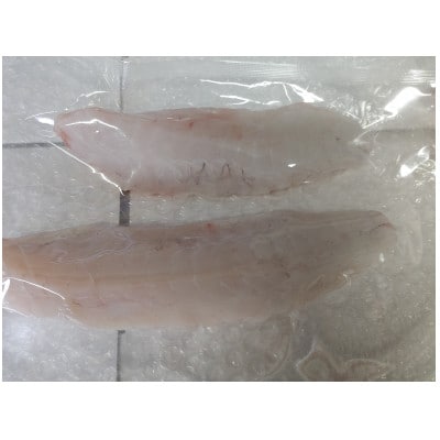 篠島産【天然とらふぐ】お刺し身・お鍋用