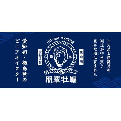 朋輩牡蠣(愛知県初!生食用真牡蠣 篠島産)1ダース(12個)セット牡蠣開けナイフ付