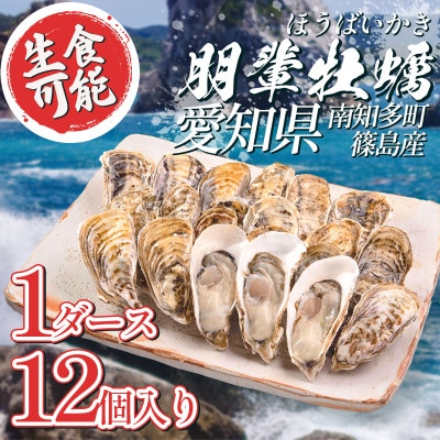 朋輩牡蠣(生食用)1ダース