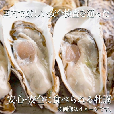 朋輩牡蠣(生食用)1ダース