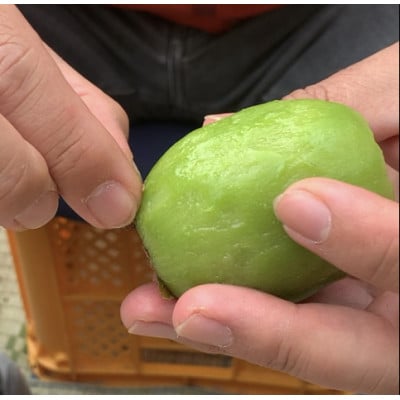 【栽培期間中農薬・化学肥料・成長調整剤不使用】あま～いキウイフルーツ松1kg(9個前後)