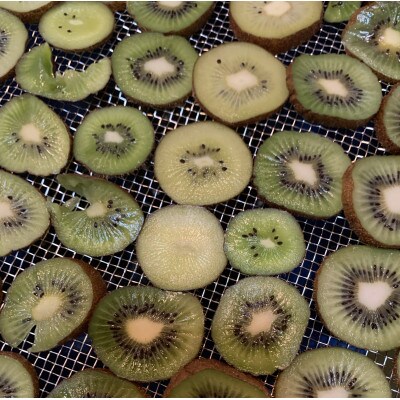 【無添加・砂糖不使用】リフレッシュに! 旨みたっぷり ドライキウイ 300g[無添加・砂糖不使用