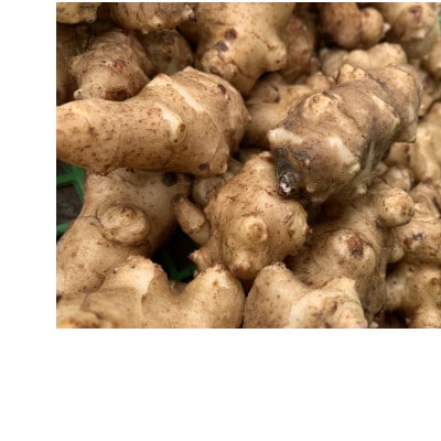 スーパーフード【栽培期間中農薬・化学肥料不使用】干し菊芋 200g