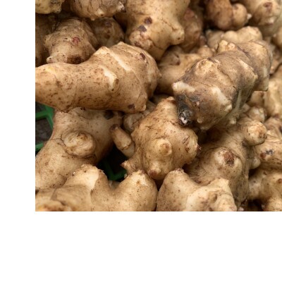 スーパーフード【栽培期間中農薬・化学肥料不使用】干し菊芋 300g
