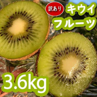 【先行予約】【12月上旬~順次発送】 訳あり キウイフルーツ　みつばちキウイ　3.6kg
