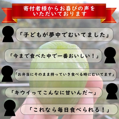 【先行予約】【12月上旬~順次発送】 訳あり キウイフルーツ　みつばちキウイ　3.6kg