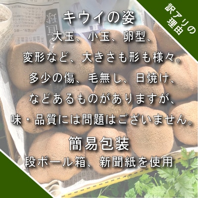 【先行予約】【12月上旬~順次発送】 訳あり キウイフルーツ　みつばちキウイ　3.6kg