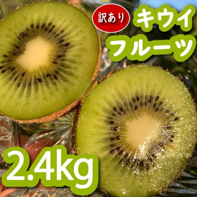 【先行予約】【12月上旬~順次発送】訳あり キウイフルーツ　みつばちキウイ　2.4kg