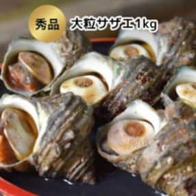 秀品サザエ1kg 刺身・生食可(CAS冷凍で新鮮)大粒約6〜7コ