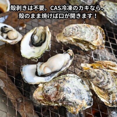 岩ガキ20コ(約2kg分)海鮮バーベキューBBQに!CAS冷凍