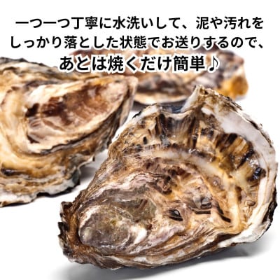 特上・篠島の殻付き真牡蠣700gセット(生食用かき・CAS冷凍カキ)海鮮バーベキューBBQ、浜焼きに
