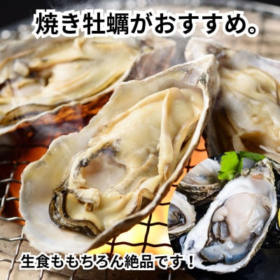 特上・篠島の殻付き真牡蠣700gセット(生食用かき・CAS冷凍カキ)海鮮バーベキューBBQ、浜焼きに