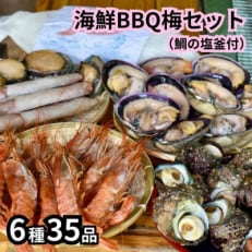 海鮮バーベキューセット6種35品(鯛の塩釜付)BBQ8人前 CAS冷凍 牡蠣、海老、イカ、サザエ等