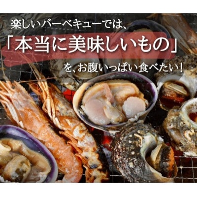 海鮮バーベキューセット8種80品(鯛の塩釜付)BBQ15人前 CAS冷凍 牡蠣、赤海老、鮑、ホタテ等