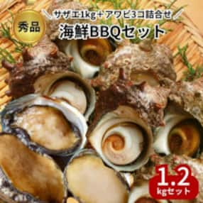 秀品サザエ1kg+蝦夷アワビ3コの贅沢海鮮バーベキューセット詰め合わせ(活きたままCAS冷凍)