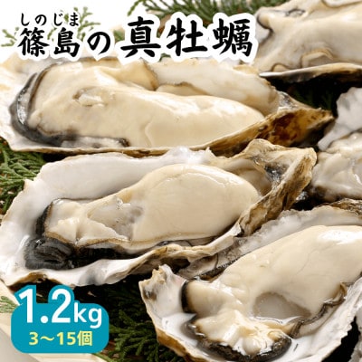 特上・篠島の殻付き真牡蠣1.2kg(生食用かき・CAS冷凍カキ)海鮮バーベキューBBQ、浜焼きに
