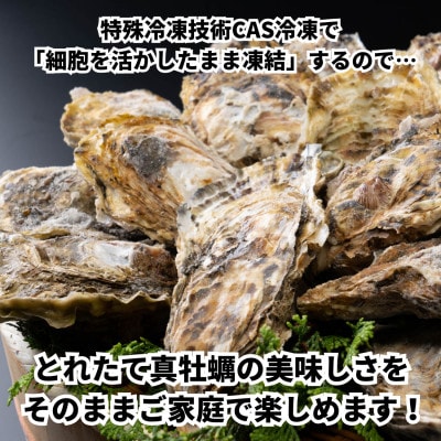 特上・篠島の殻付き真牡蠣1.2kg(生食用かき・CAS冷凍カキ)海鮮バーベキューBBQ、浜焼きに