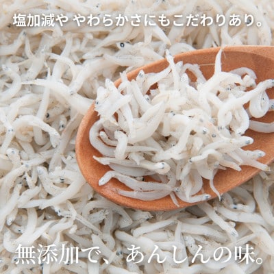 しらす | しらす問屋とびっちょ｜オンラインショップ