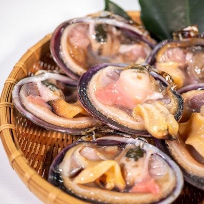 愛知県三河湾産の秀品天然大あさり 希少なXXLサイズ6切入(約1kg)【CAS冷凍/下処理済】